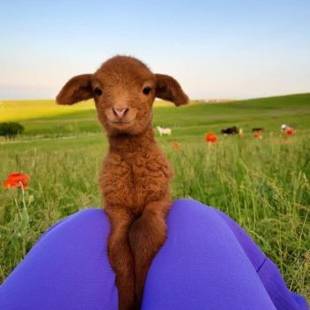 عکس خدایا شکرت به هزارویک دلیل