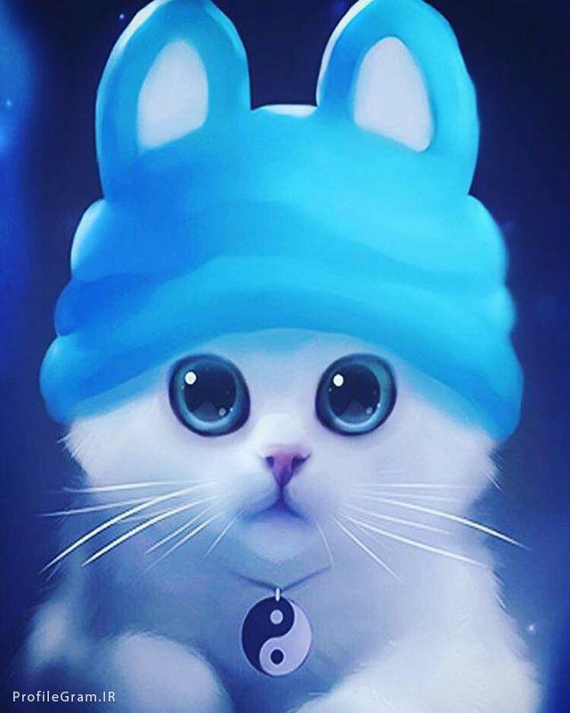 عکس پروفایل گربه ملوس دخترونه با کلاه آبی | پروفایل گرام