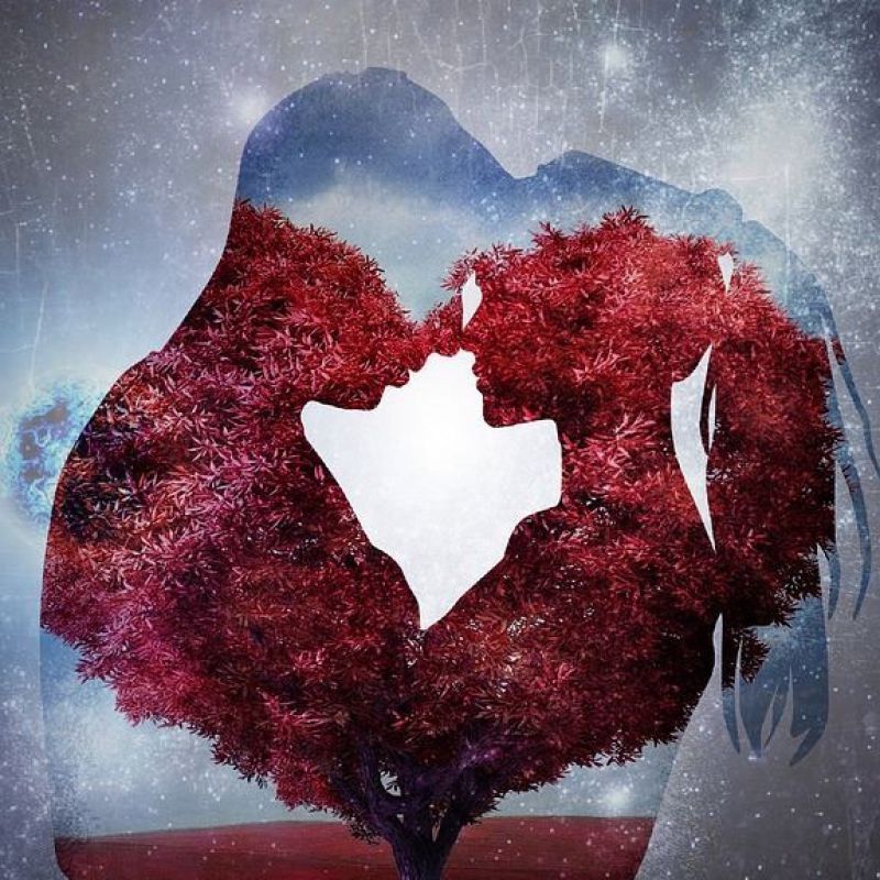 عکس پروفایل عاشقانه دختر و پسر با طرح درخت زیبا