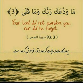 پروفایل انگلیسی زیبا