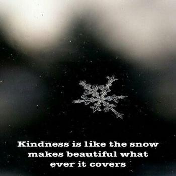 پروفایل انگلیسی زیبا