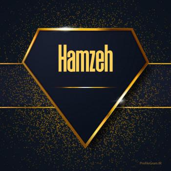 عکس پروفایل اسم انگلیسی حمزه طلایی Hamzeh