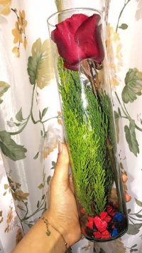 عکس استوری گل دخترونه جذاب در اینستاگرام 20525