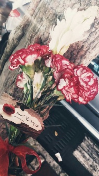 عکس استوری گل جالب برای اینستاگرام 20591
