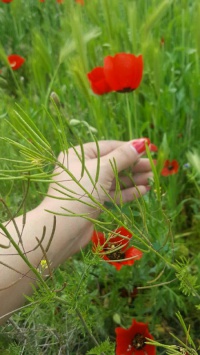 عکس استوری گل دخترونه خفن برای اینستا 20045