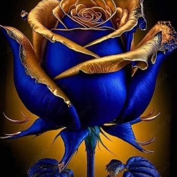 عکس پروفایل گل رز آبی و طلایی زیبا برای عاشقانه لاکچری